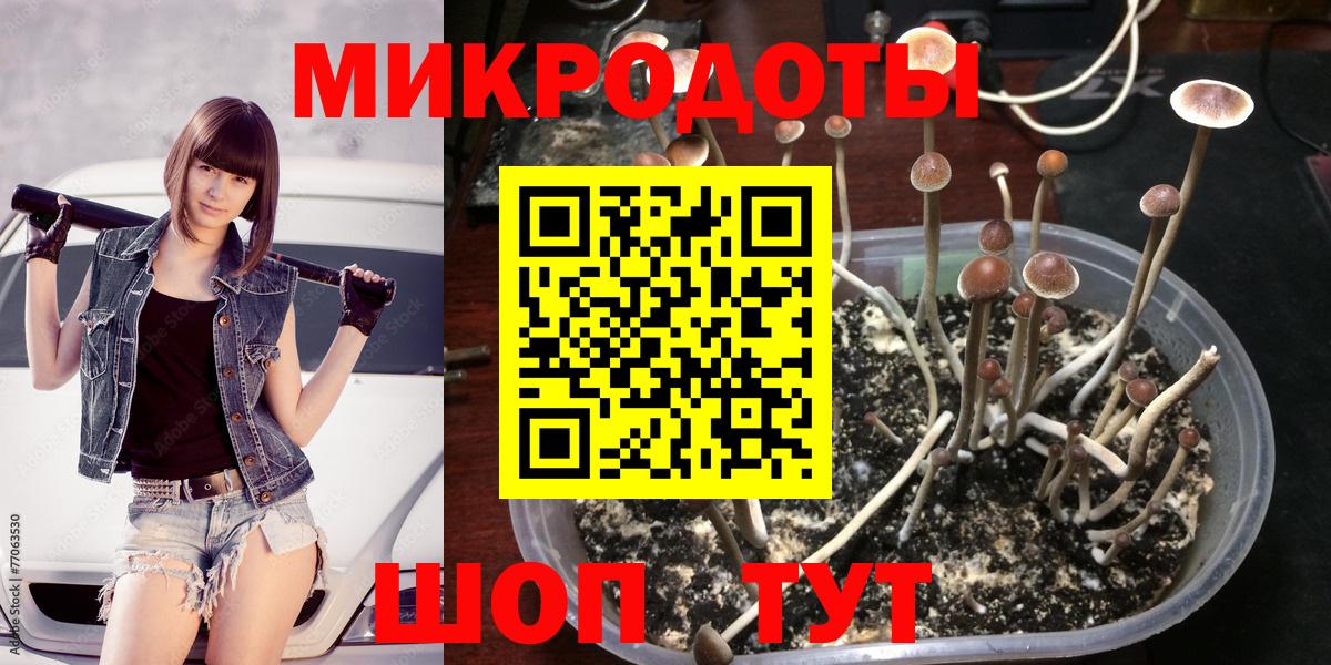 Псилоцибиновые грибы Magic Shrooms Белово